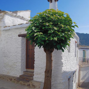 Отель Casa El Rincón del Ángel  Бубион